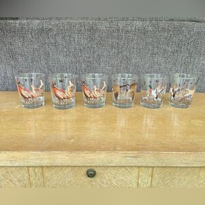 Vintage bird/ wildlife glassware 6 glasses